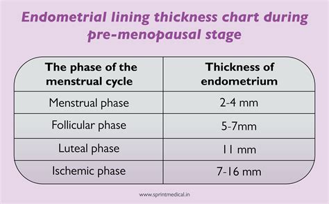 endometrial cancer thickness measurement|endometrial thickness without bleeding.